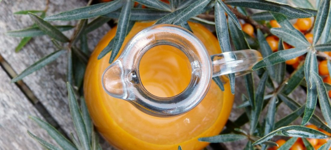 Sea buckthorn oil – find out its properties
