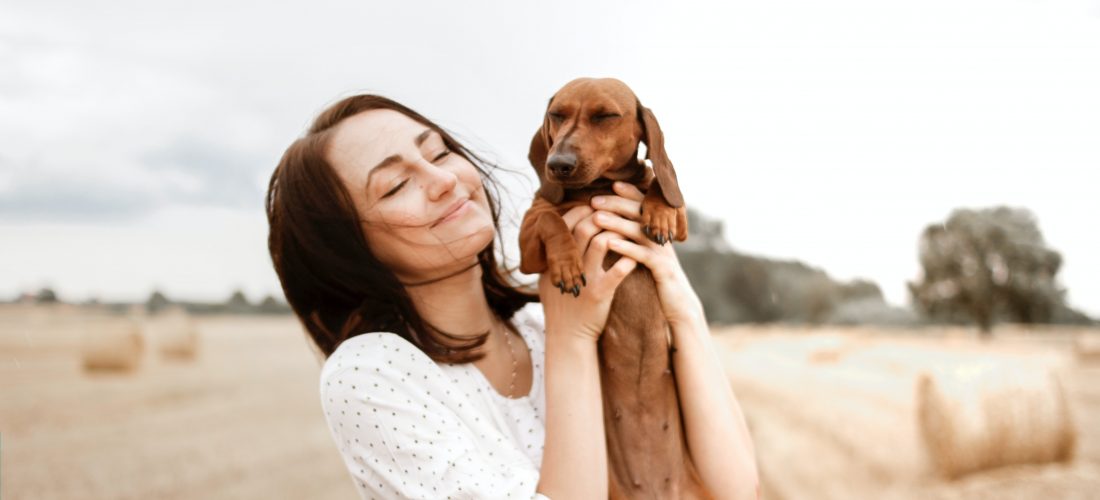 Why have a dog?