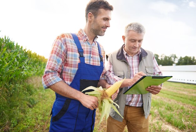 Soil Moisture Meters and Rain Gauges – Measuring Accessories Useful in the Agricultural Sector