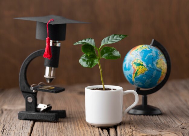 Maximizing Career Growth Through Specialized Learning Programs