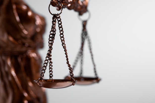 Understanding the Legal Rights of Those Accused in Domestic Cases